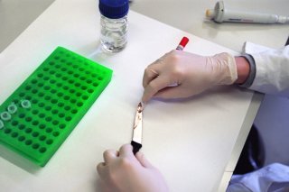 Il n'y a pas véritablement de crise de confiance dans la science au niveau mondial, selon cette étude (archives). KEYSTONE/GAETAN BALLY